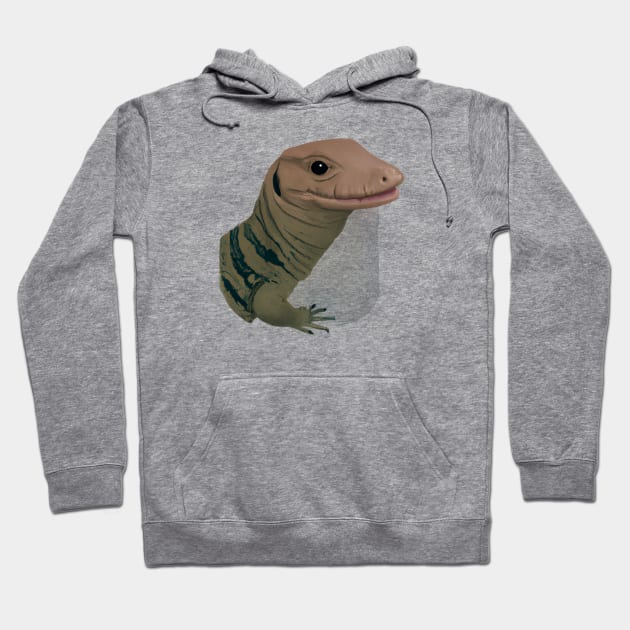 Cute Monitor Lizard Drawing Hoodie by Play Zoo